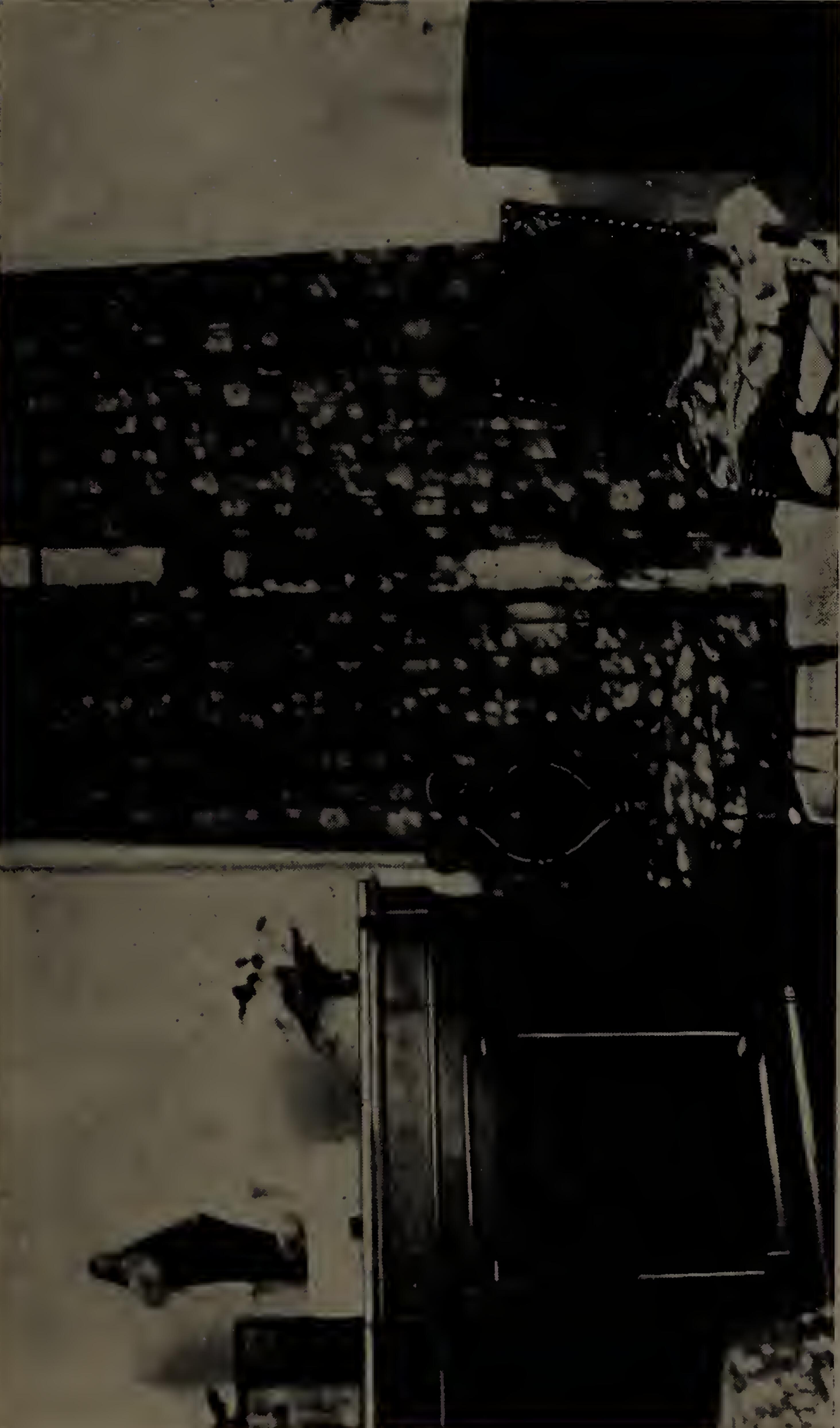 The House of Mrs.&nbsp;Montes de Oca.  Altar on which Father Pro said mass during the last months of his life.