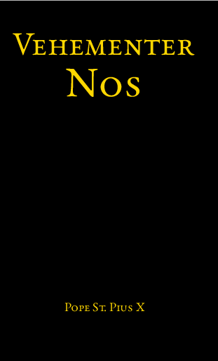 Cover of Vehementer Nos